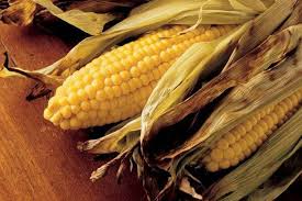 Corn